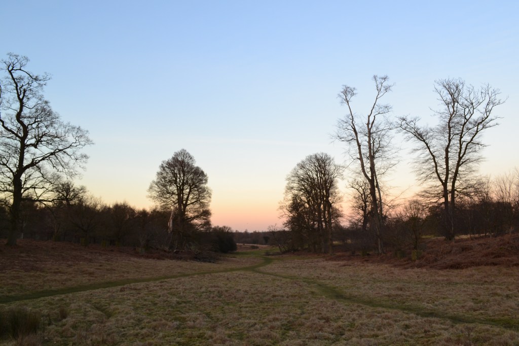 Knole, winter sundown