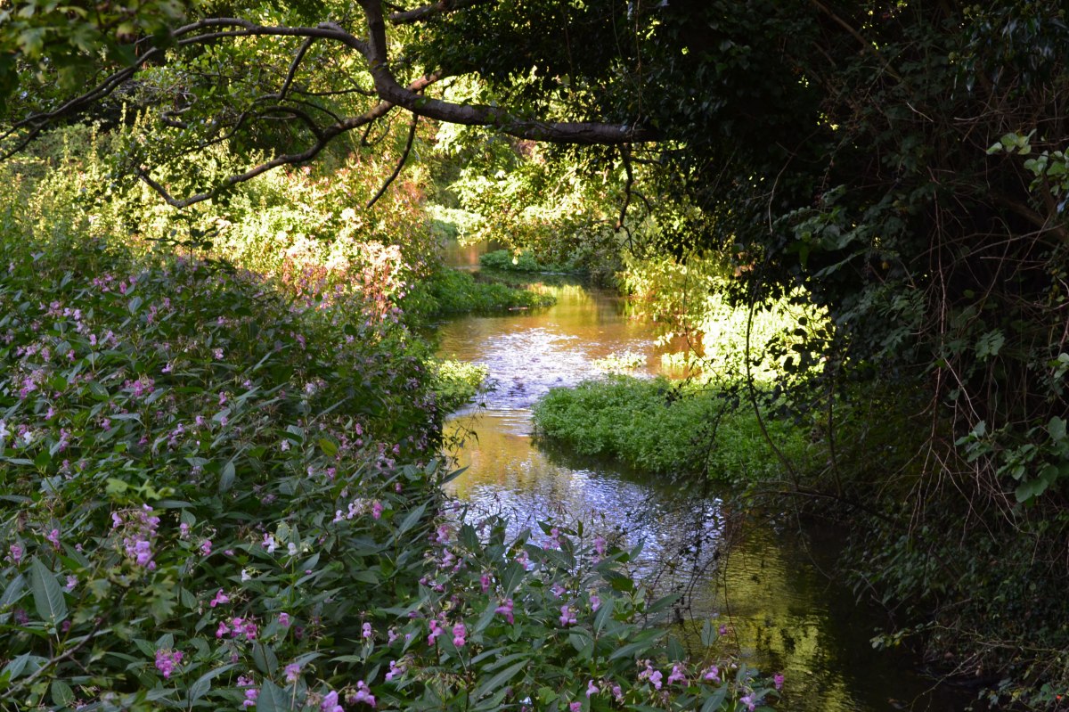 River Darent