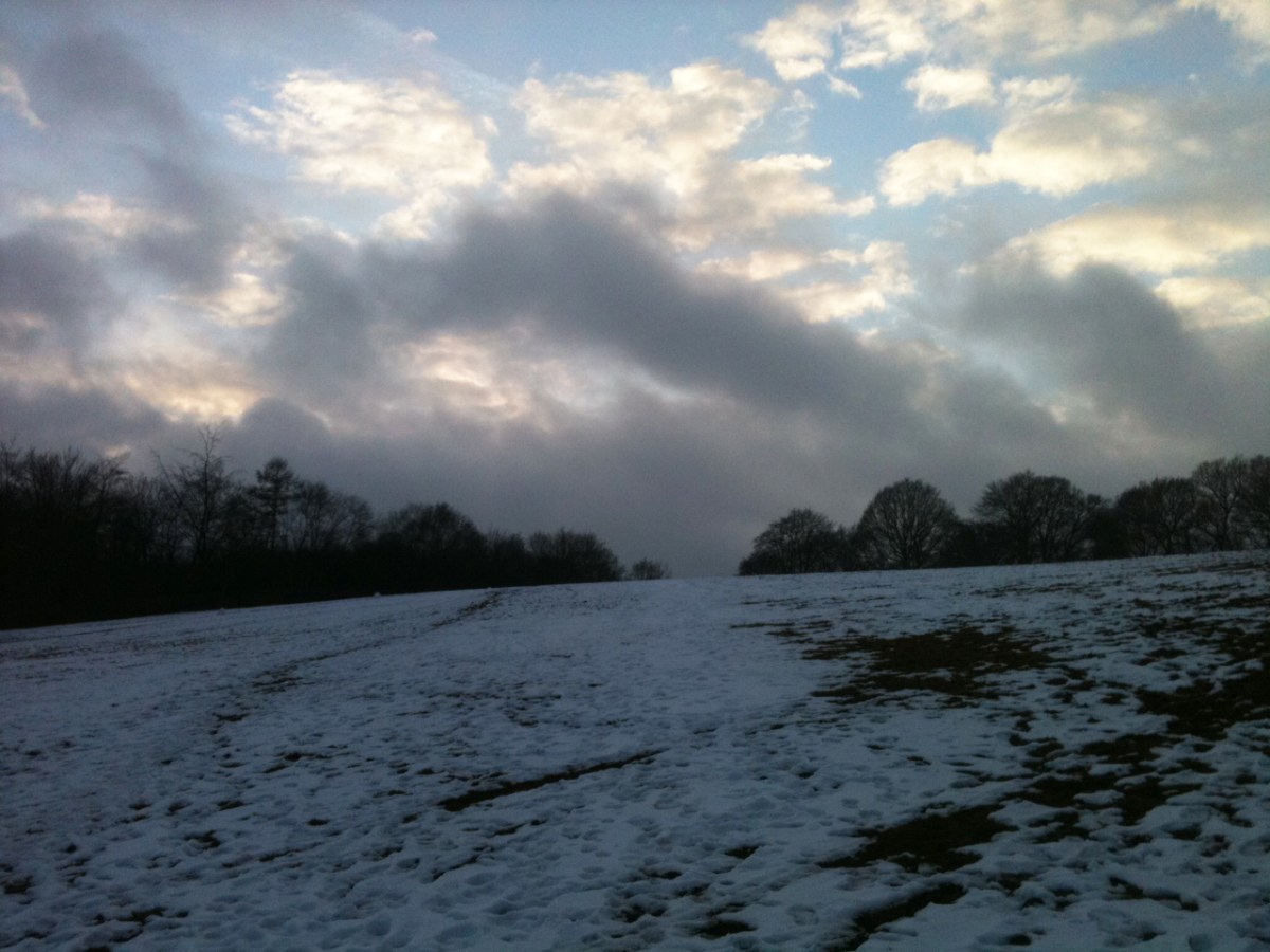 The hill at Point 5 just after a summer thunderstorm