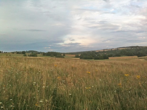 A bucolic welcome to&nbsp;you