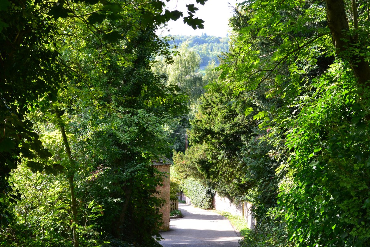 Walking down to the Darent after Point 3, Shoreham circ