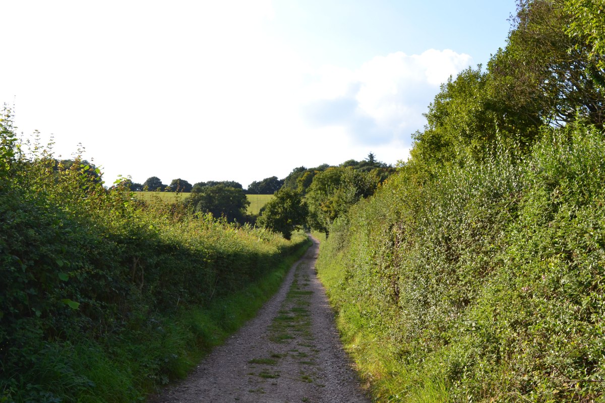 The track leading to the hill above Filston Lane