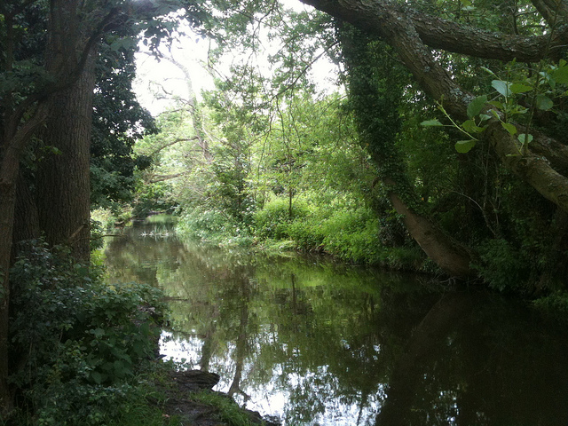Darent river near Lullingstone visitors centre