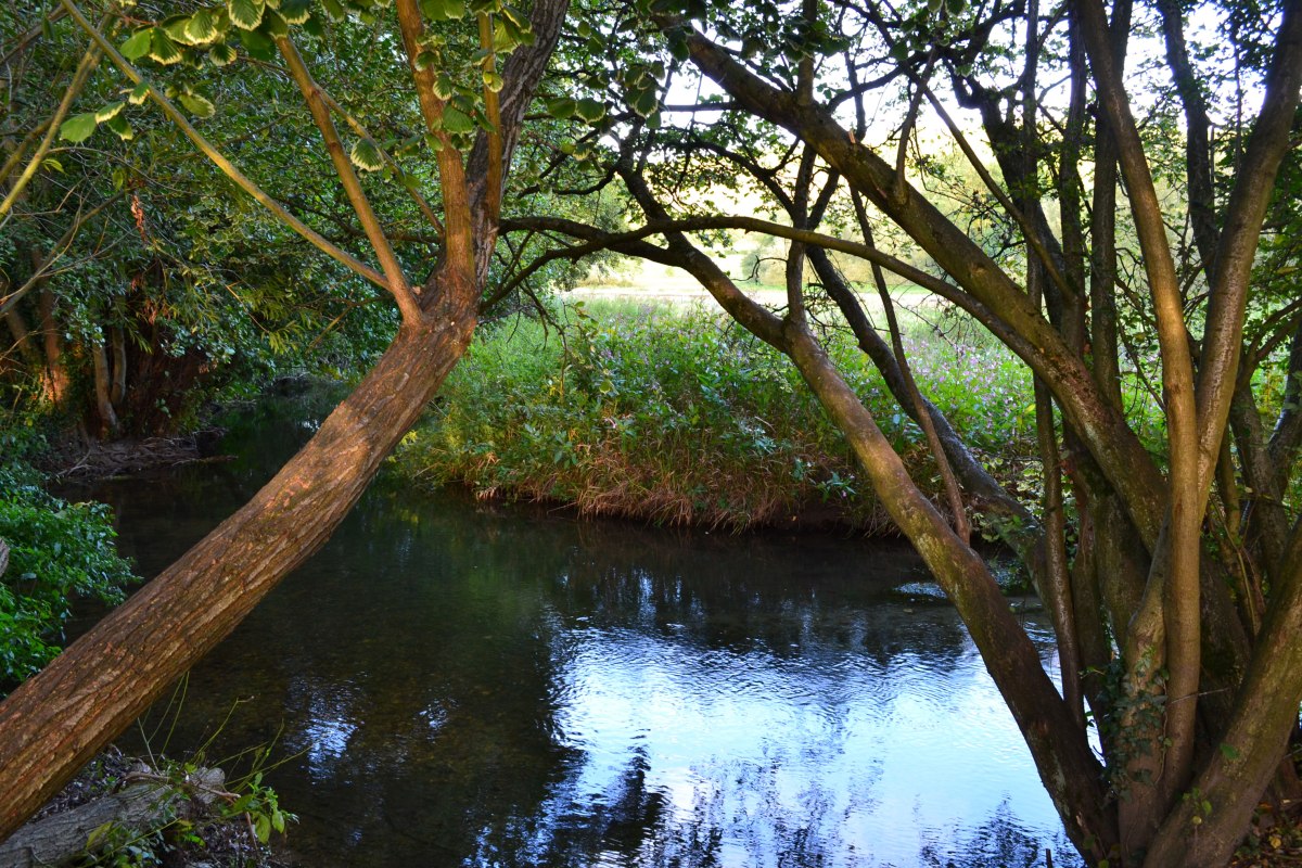 River Darent Shoreham-Eynsford