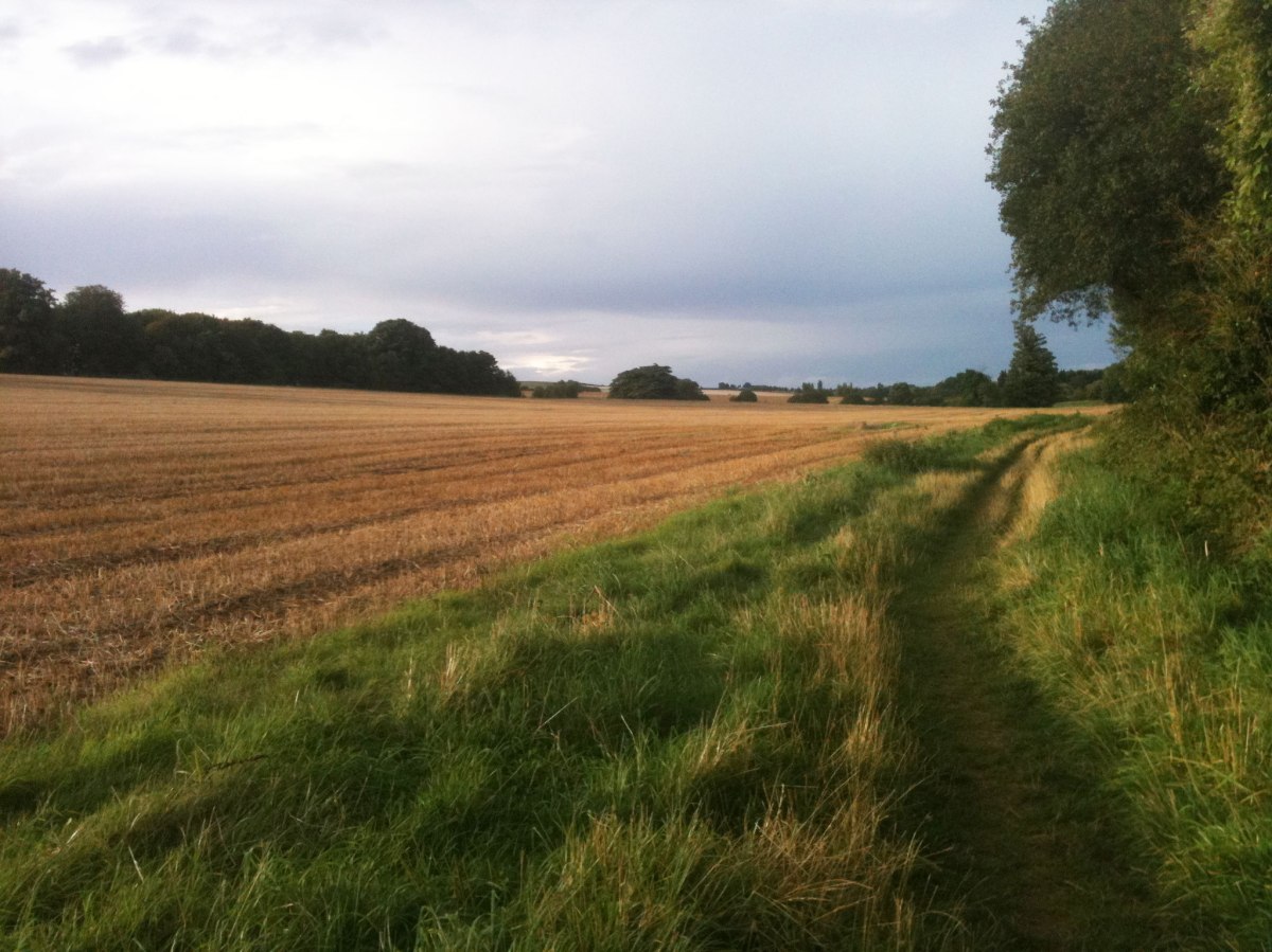 The field next to the river, Lullingstone