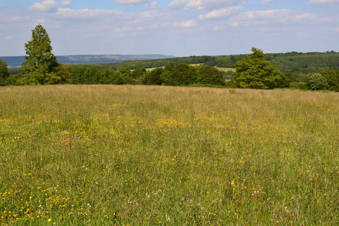 Looking north east on leaving Emmetts