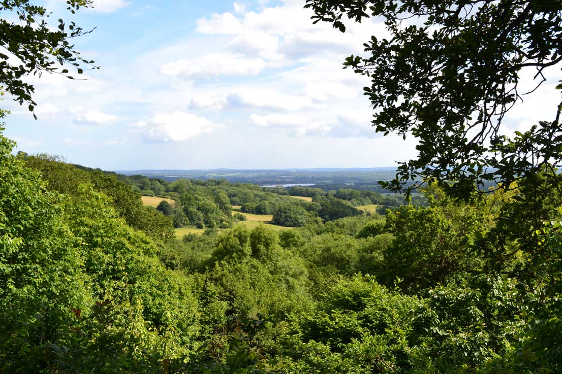 Looking south from Emmetts