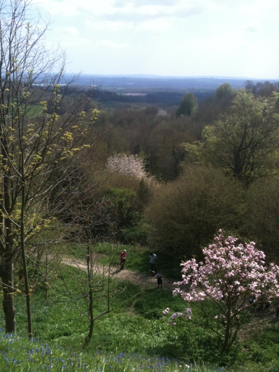 Early spring view from Emmetts, looking south. Phone camera I'm afraid