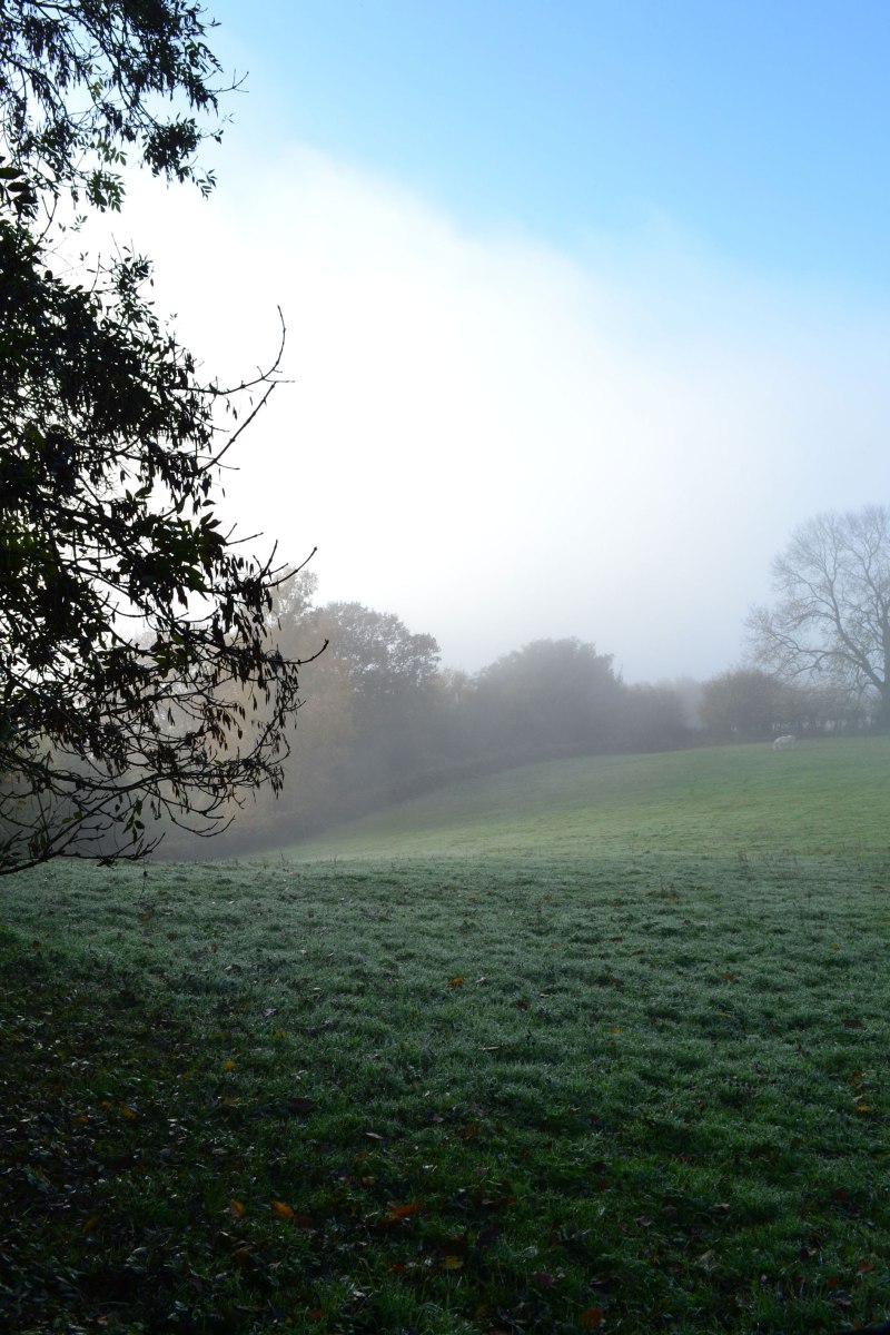 Fog bank approaches Ide Hill, autumn