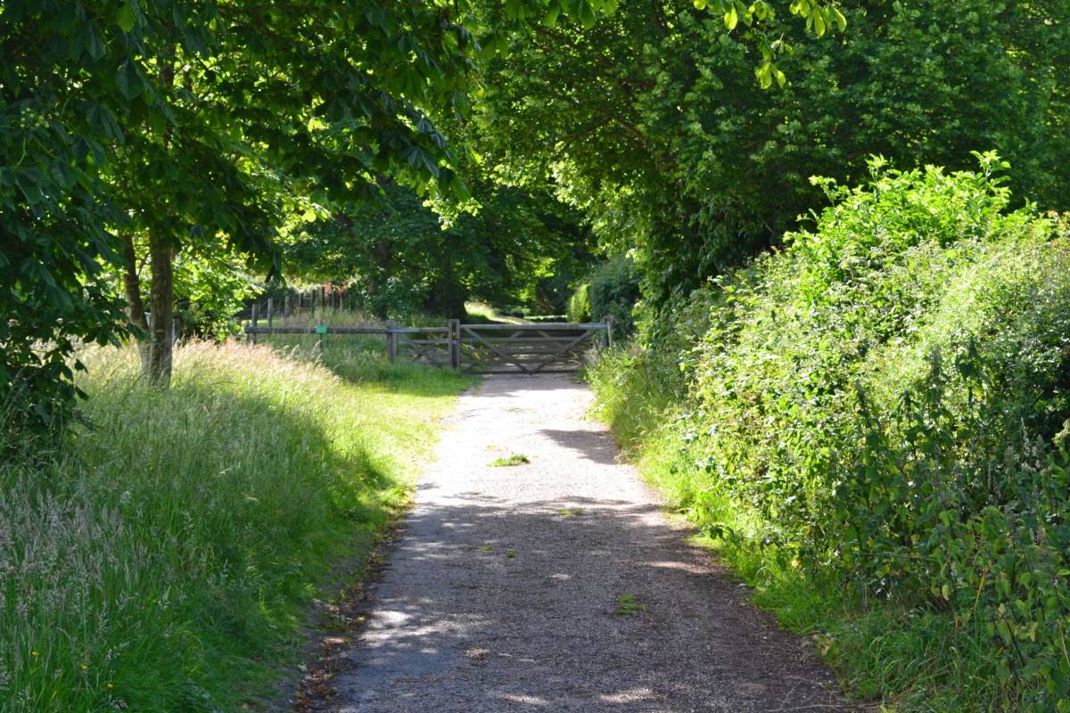 Between points 4 and 5