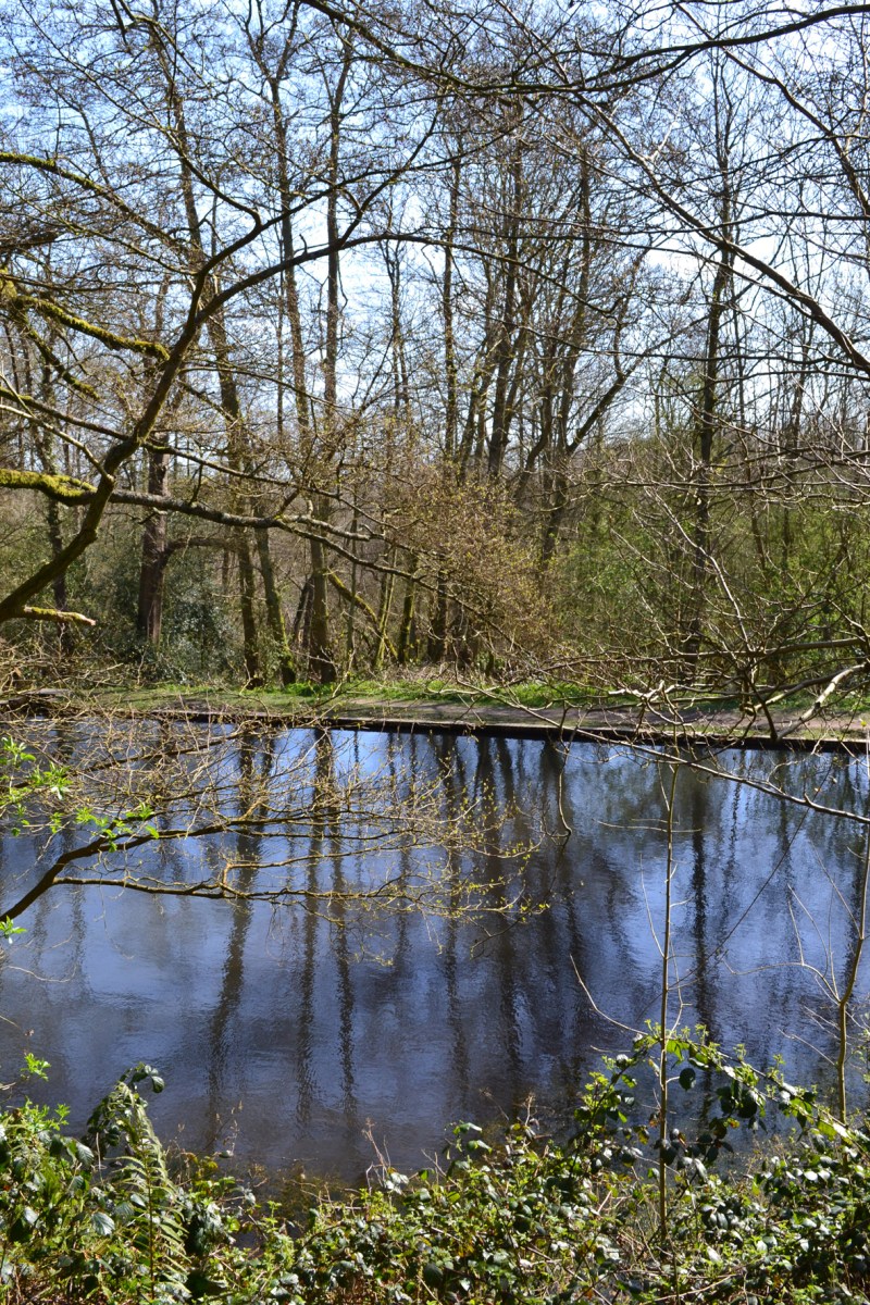 Ram pump pond, Scords Wood, near Ide Hill (walk 4)