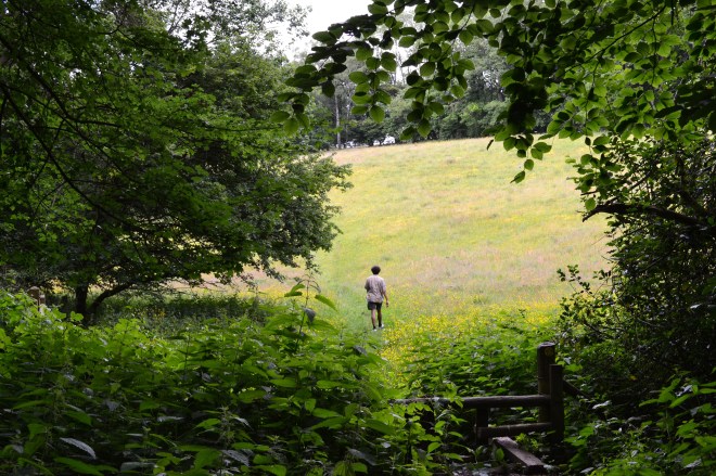 Emerging into the 'hidden' field