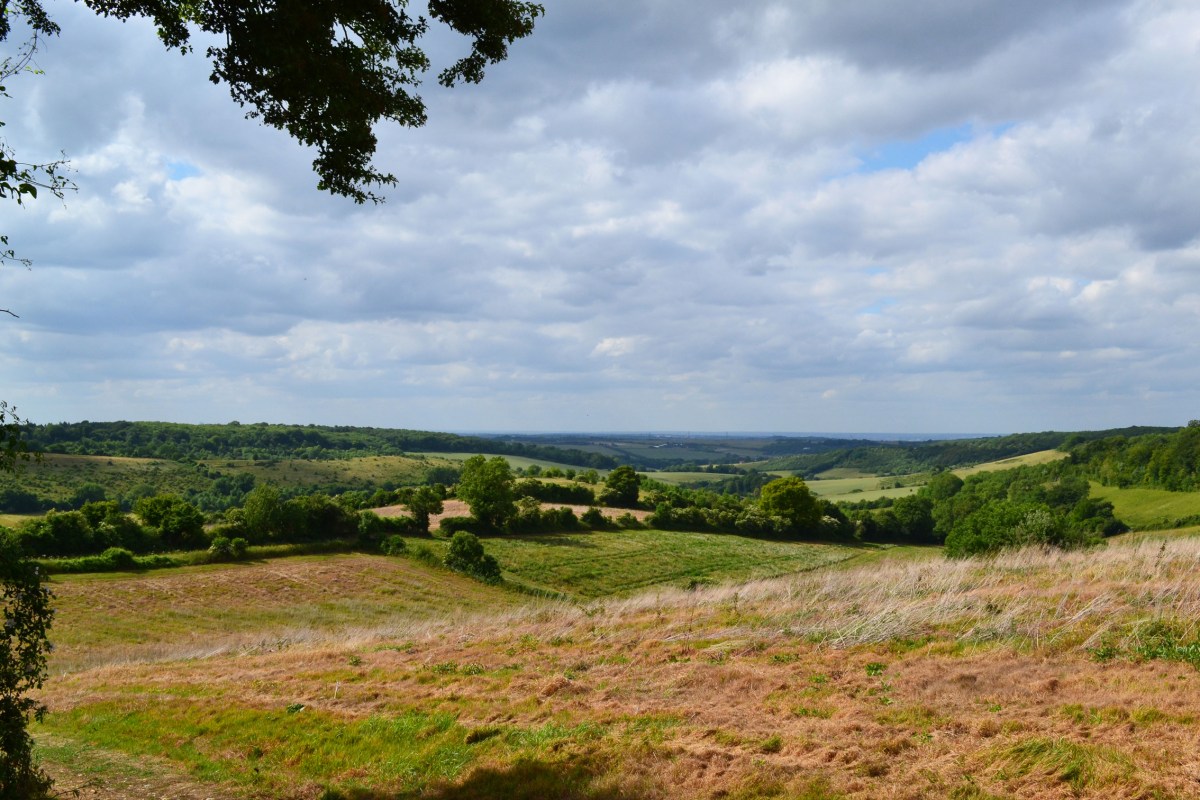 The view from on high soon after leaving the Fox and Hounds (June)
