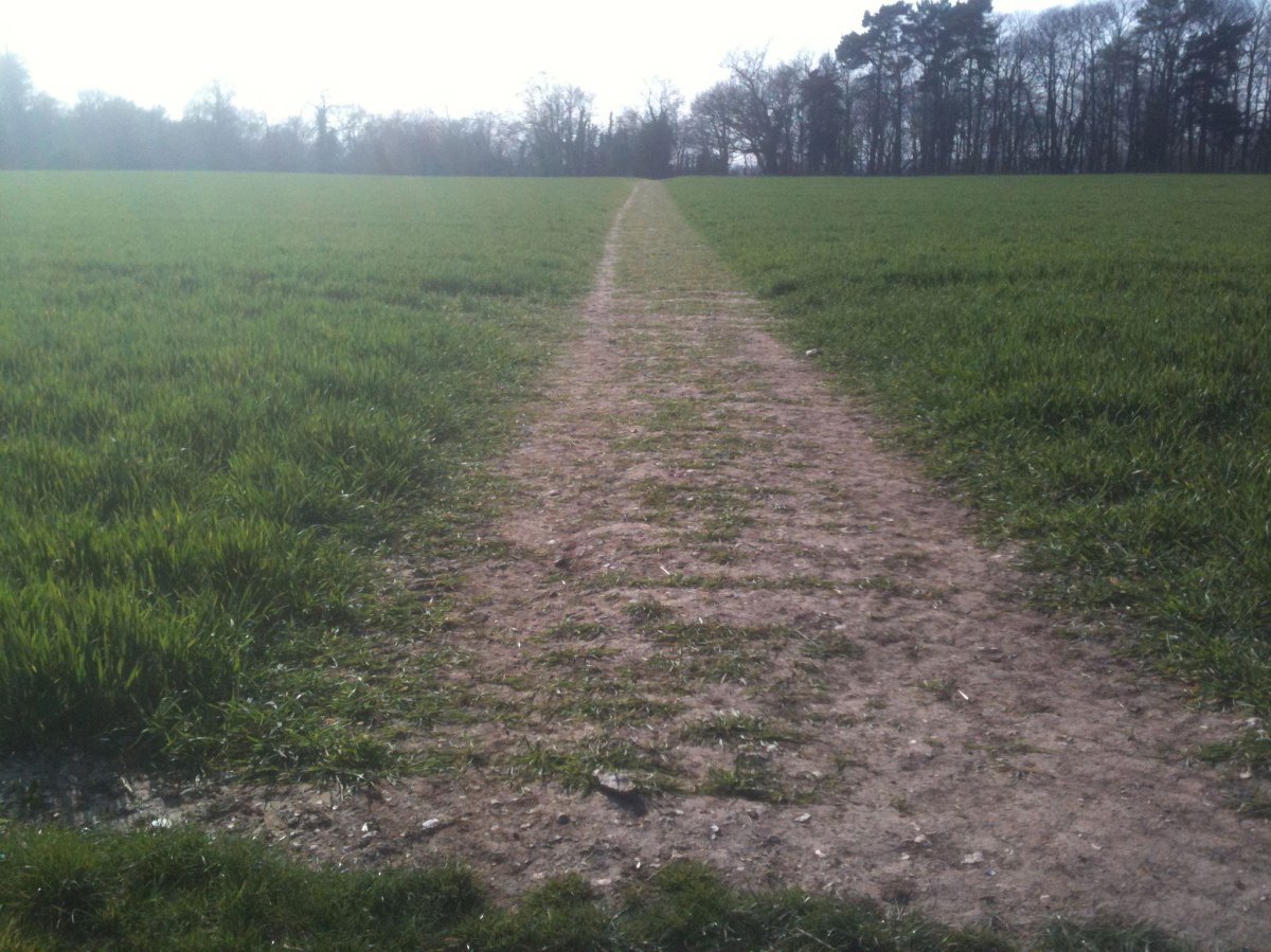 The path across the field from Dunstall Farm