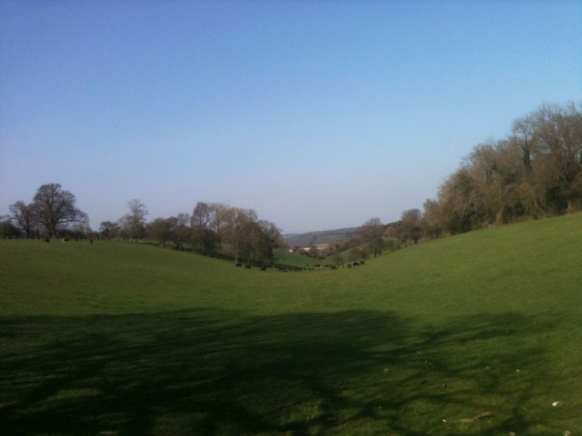 The little valley around Point 10, nearing Dunstall Farm