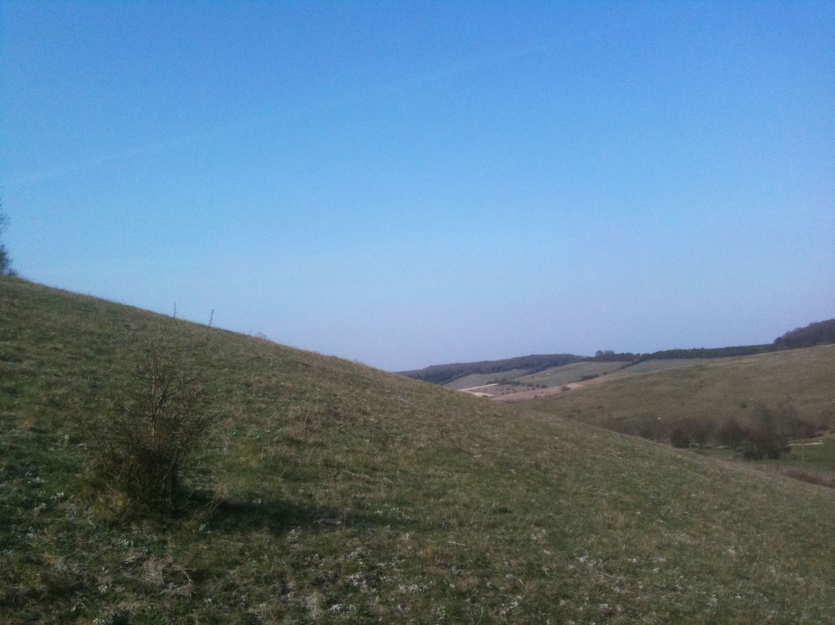 The steep climb on the stark chalk hills of the North Downs
