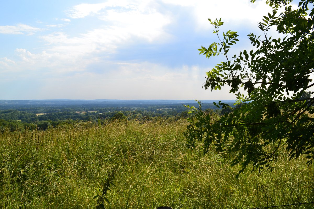 On the path to Ightam Mote