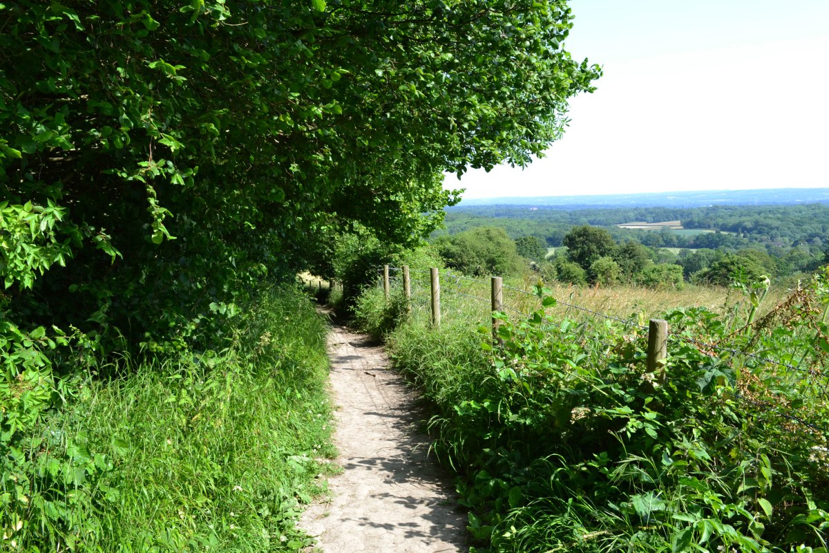 The path to Ightam Mote from One Tree Hill