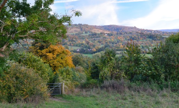 The autumnal art of the Darent&nbsp;Valley