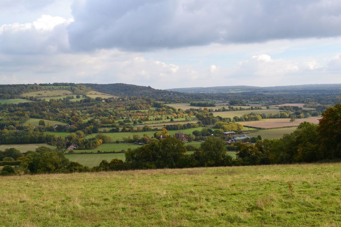 Autumn colours in field above Shoreham's Filston Lane