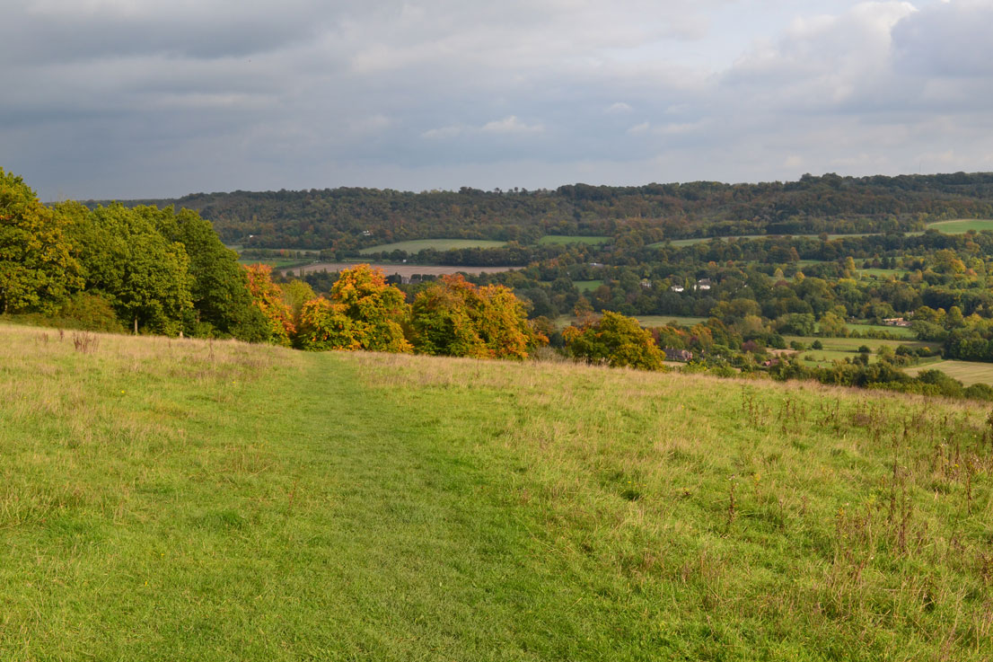 North Downs near Shoreham