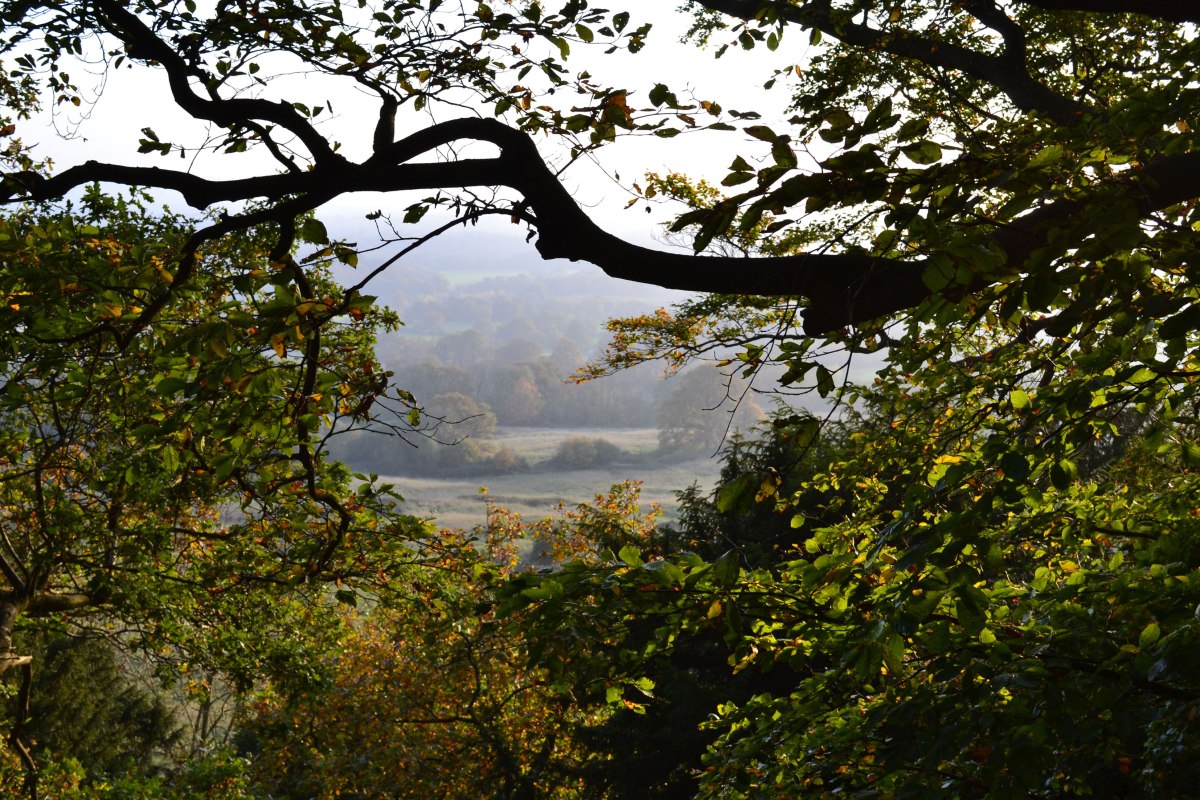 Near Ightam Mote, autumn