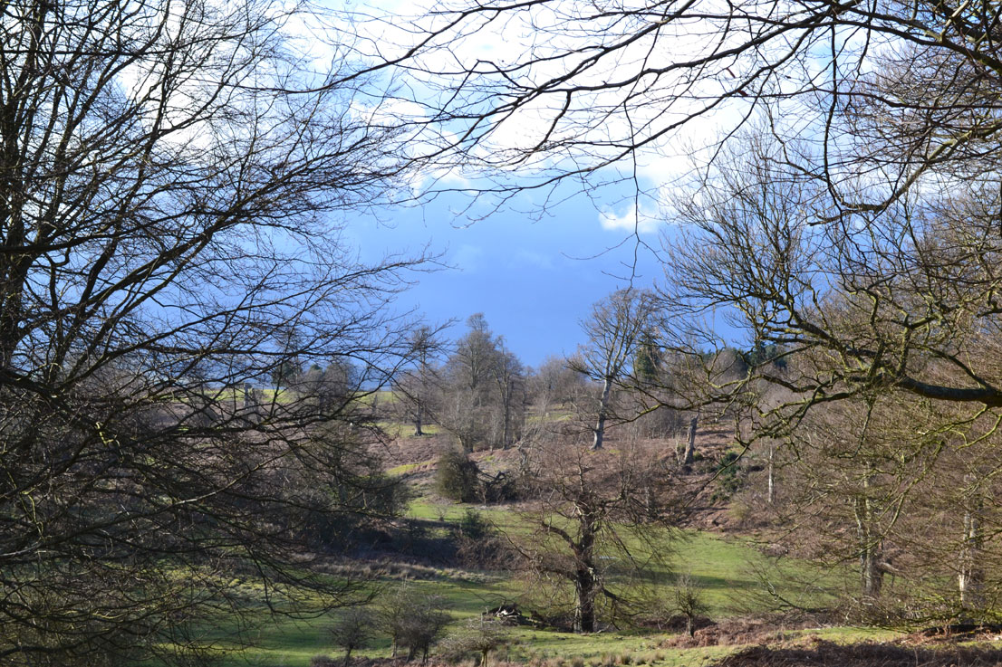Stormy Monday at Knole