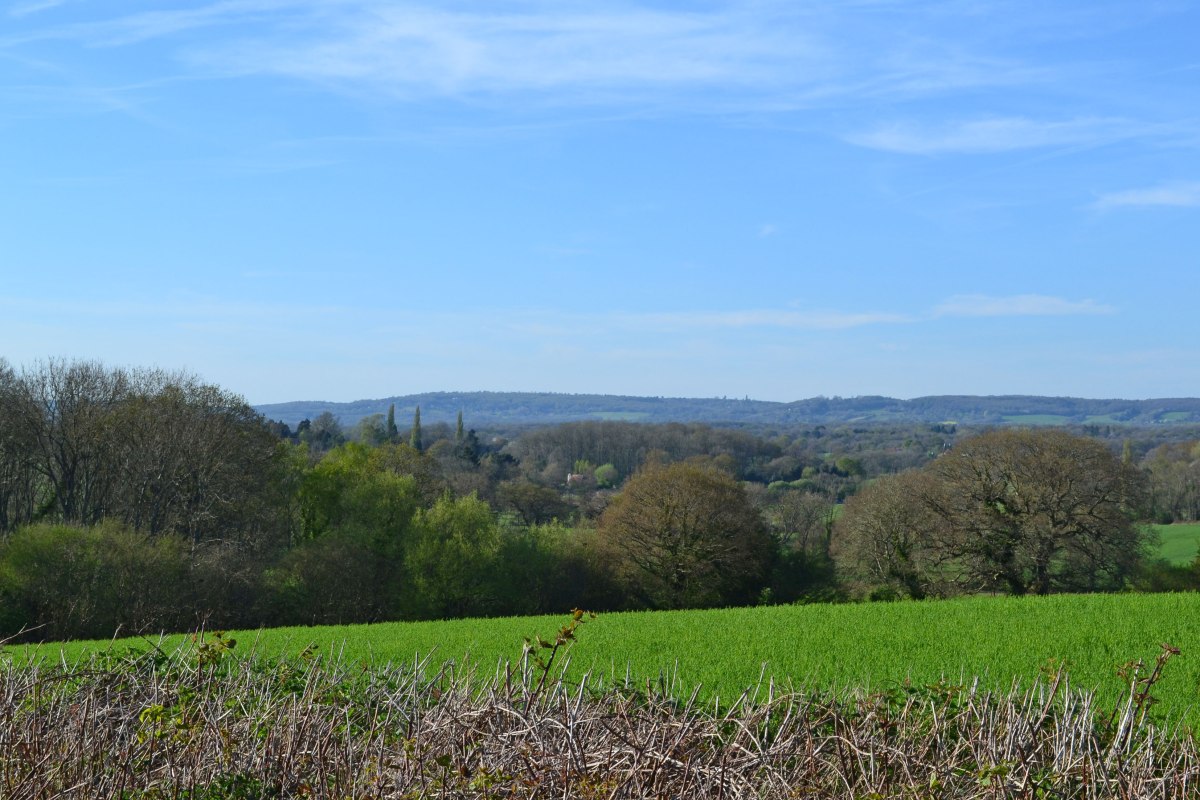View towards greensand ridge from near Penshurst