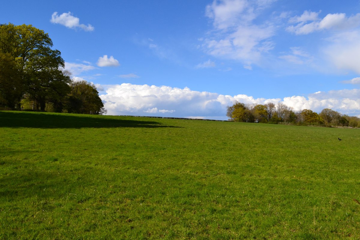 Meadow a mile east of Hever