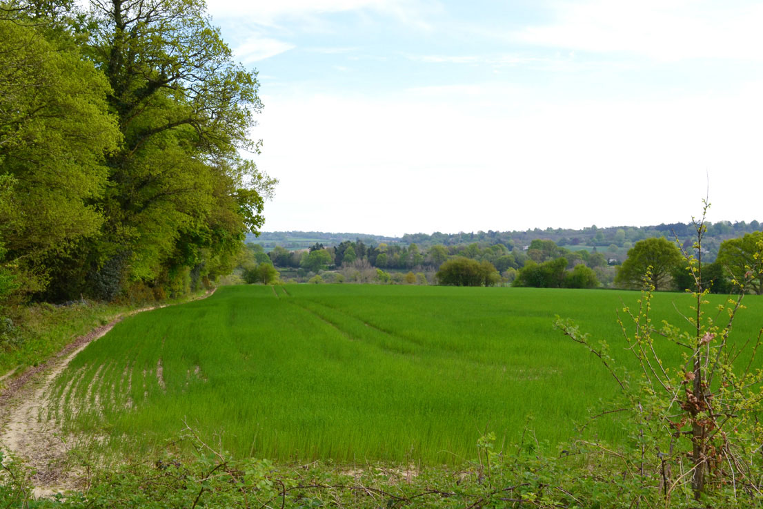 Near Penshurst