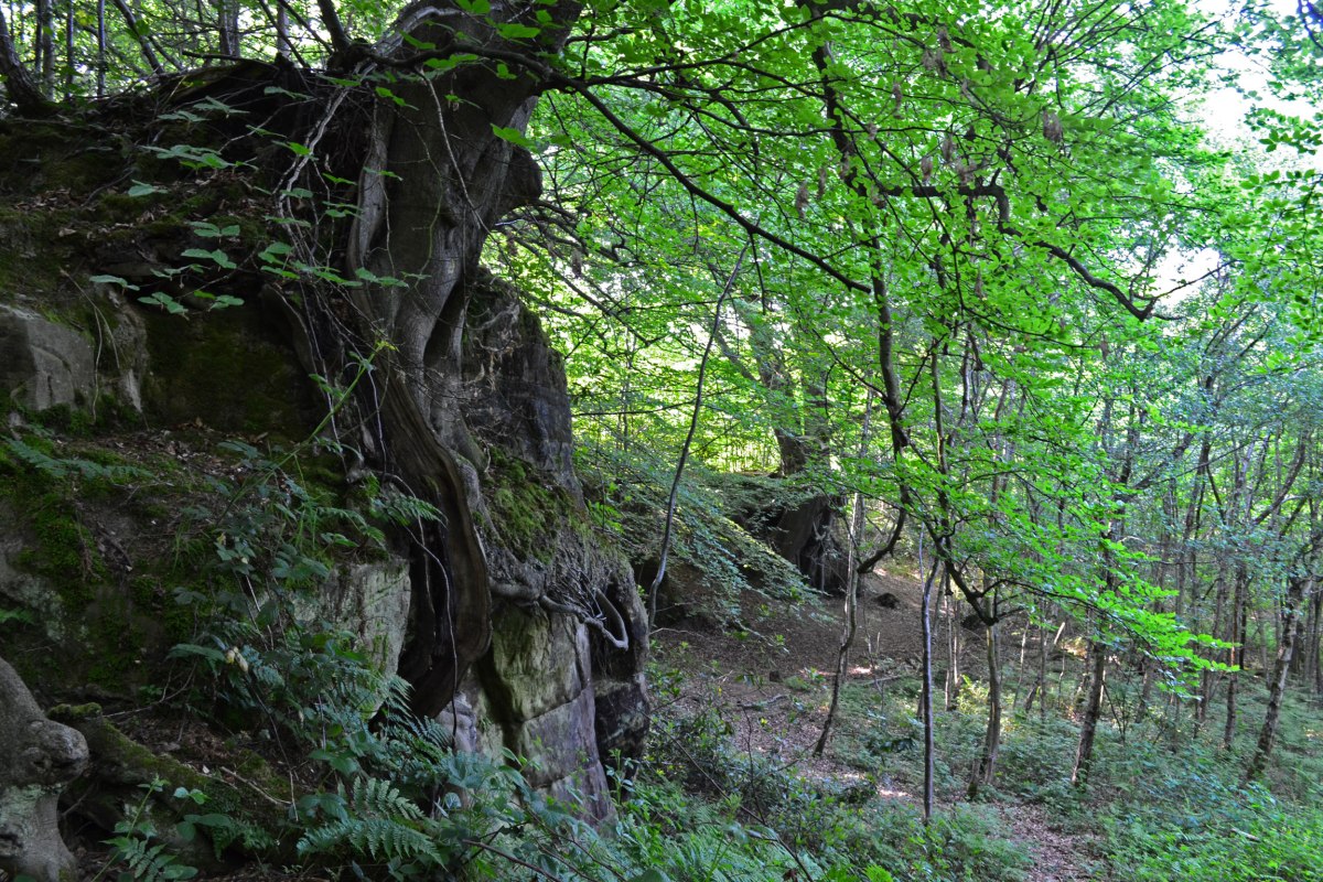 Hill Hoath sandstone