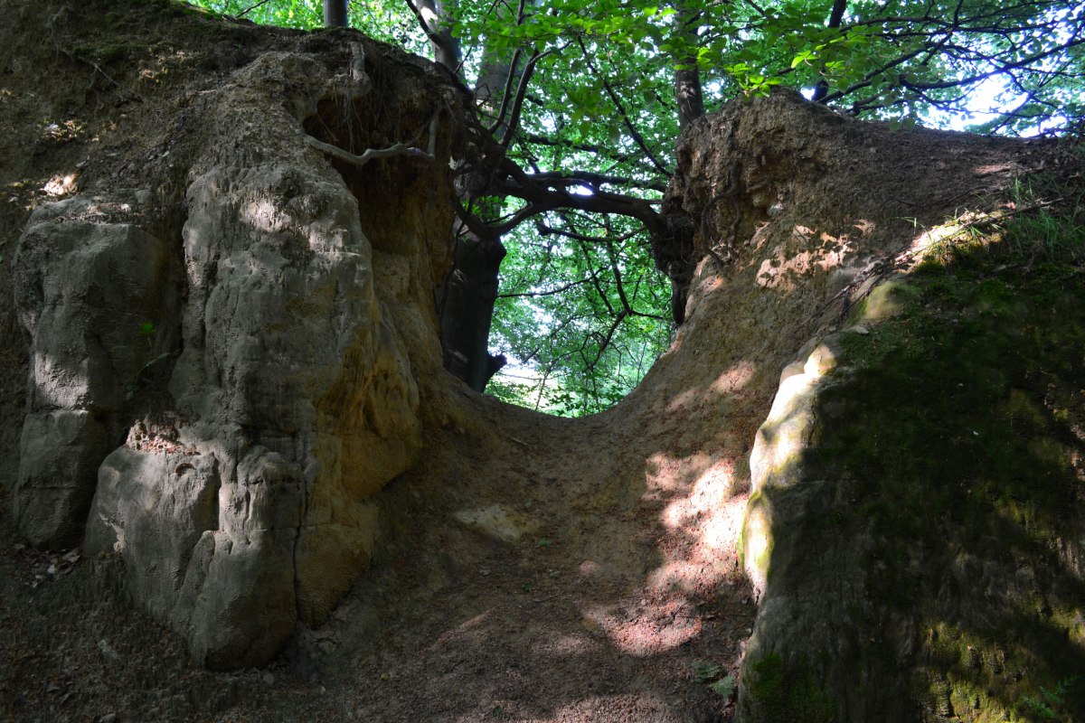 Hill Hoath sandstone