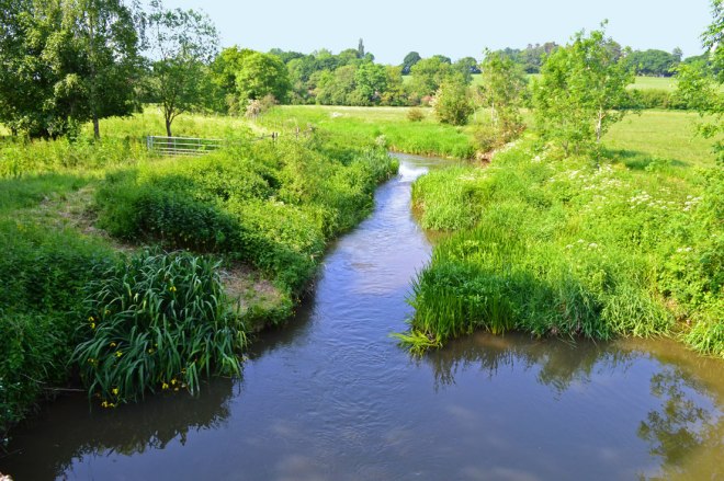 River Eden and water meadows from near Penshurst