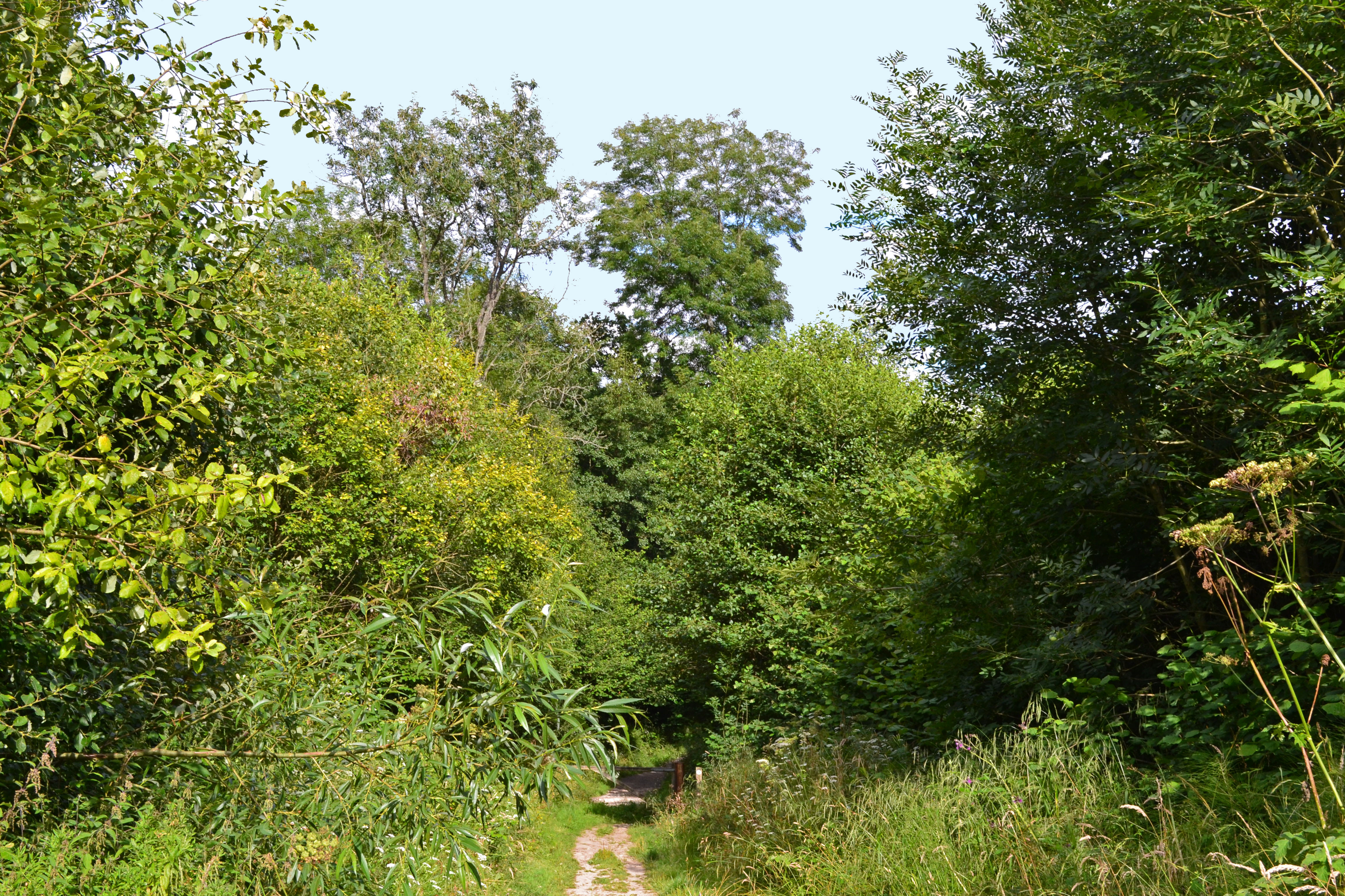 Hidden valley path on way to Ightam Mote
