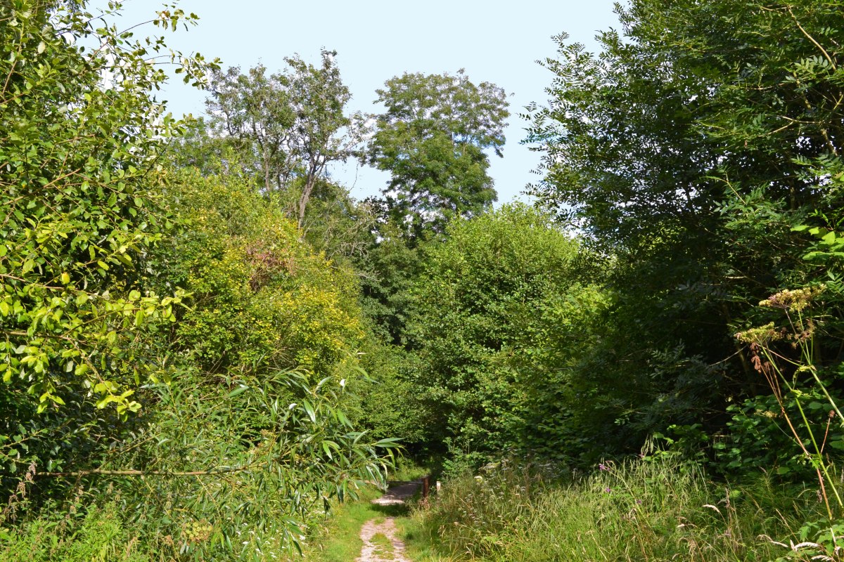 Hidden valley path on way to Ightam Mote
