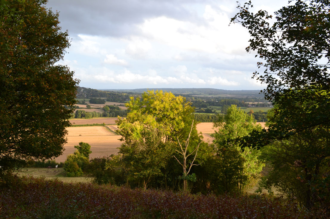 Darent valley autumn