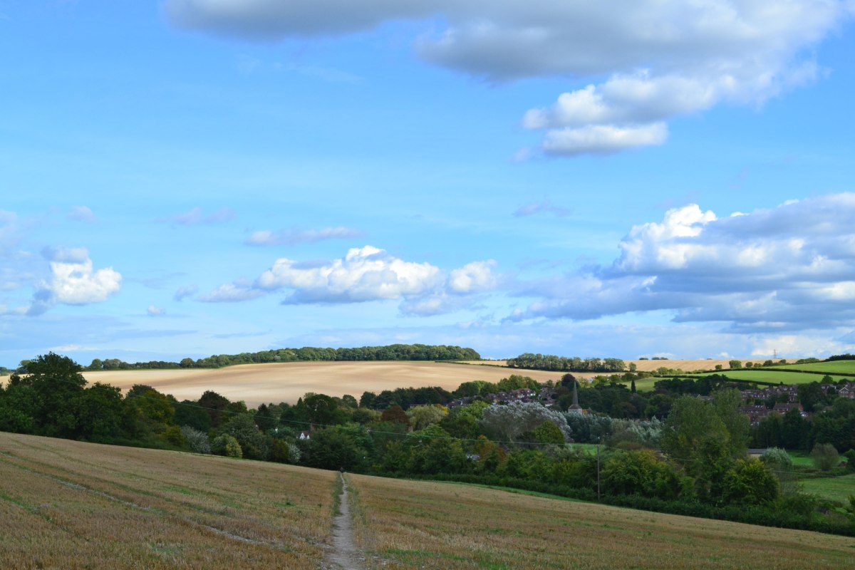 Looking back over Eynsford, point 3-4, walk 12