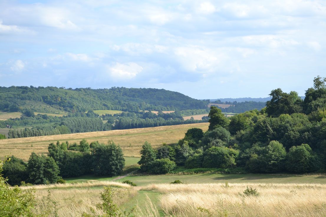 Darent Valley from Lullingstone's high point