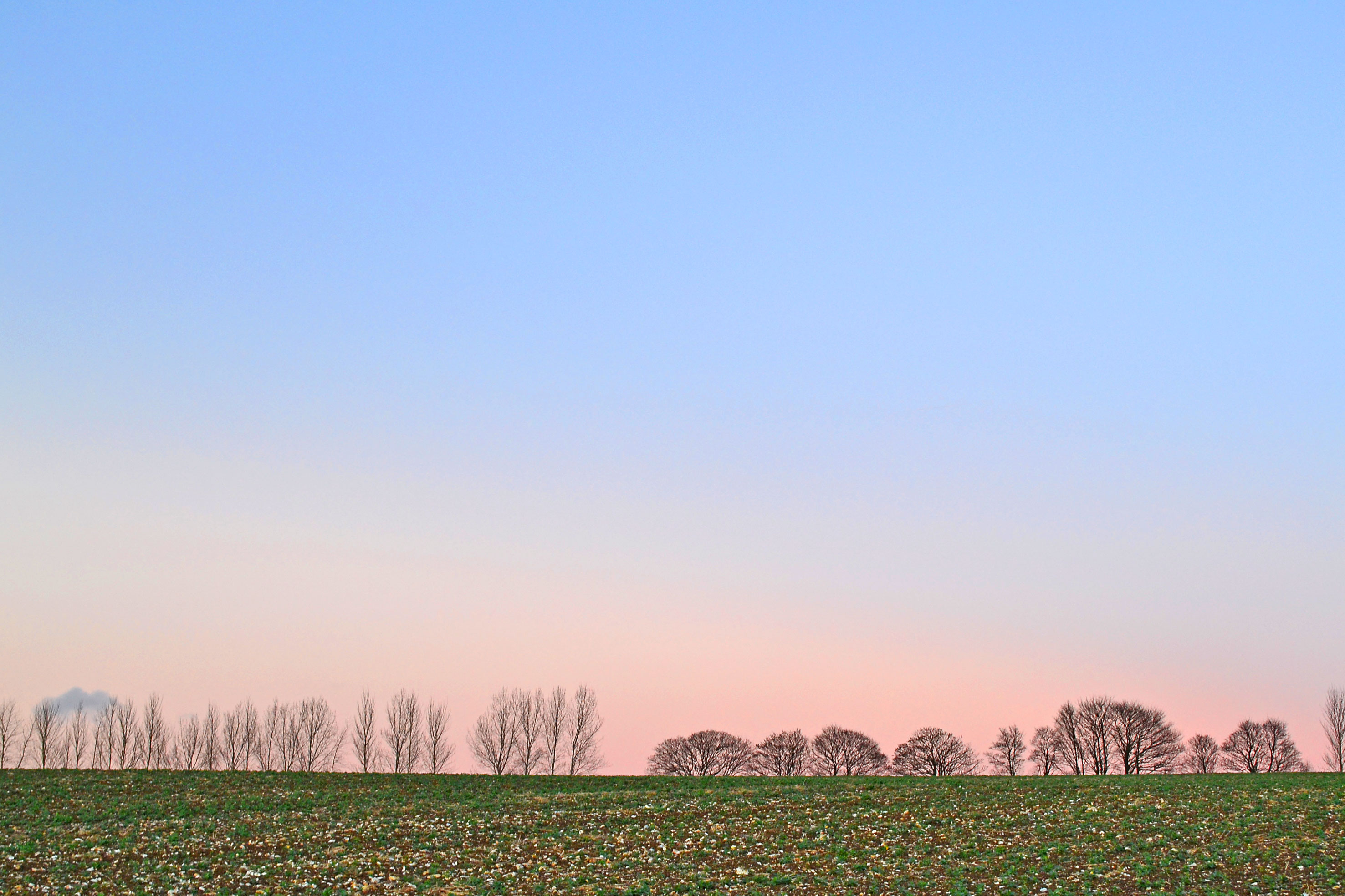 Eynsford Lullingstone flinty field, winter