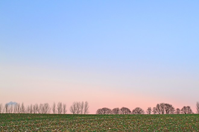 Eynsford Lullingstone flinty field, winter