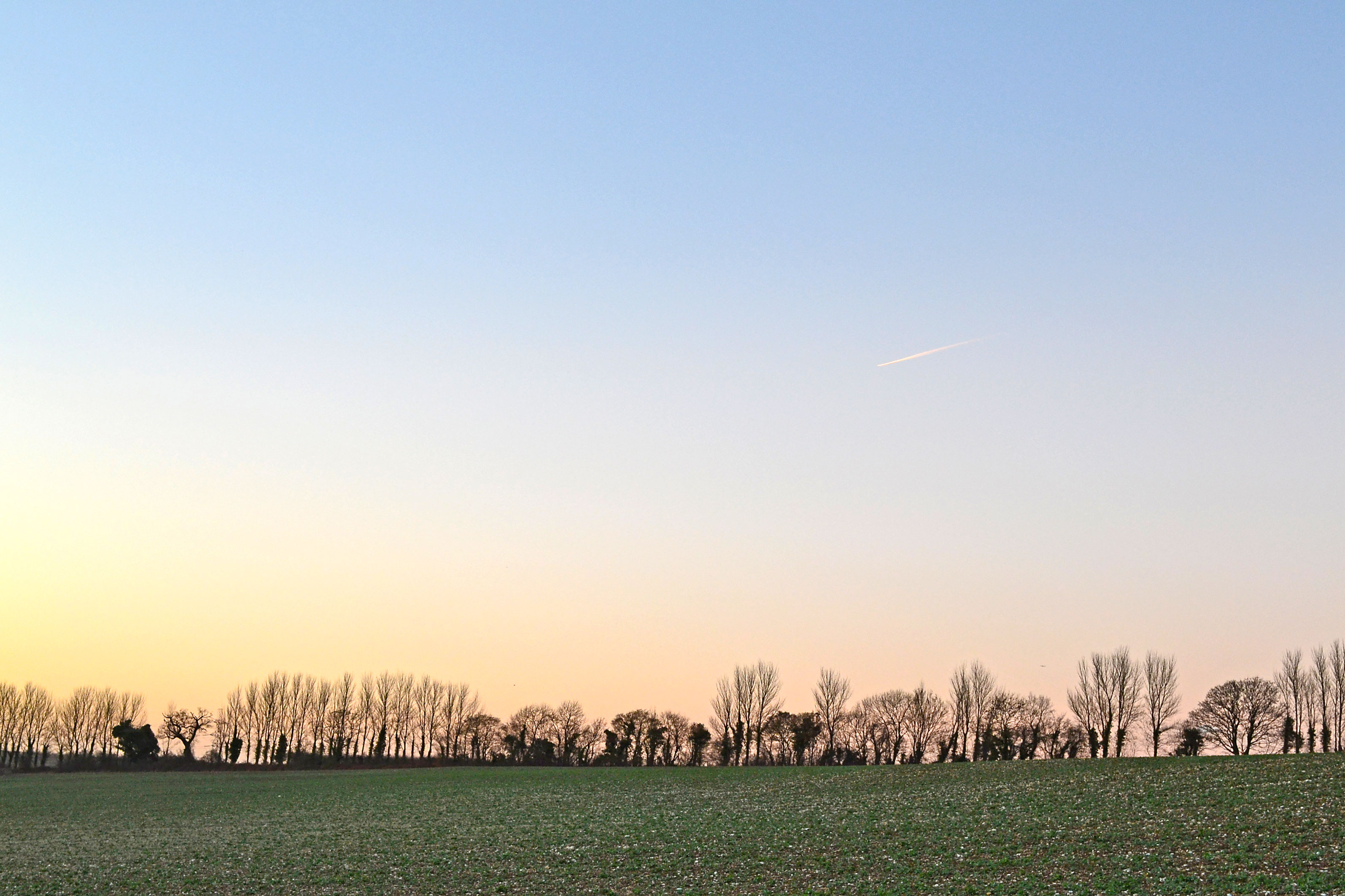 Eynsford, Lullingstone, Kent. Flinty field.