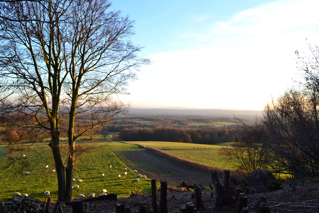 Ide Hill, view from Scord Wood in winter
