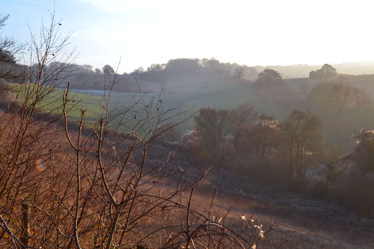 Looking south towards Romney St