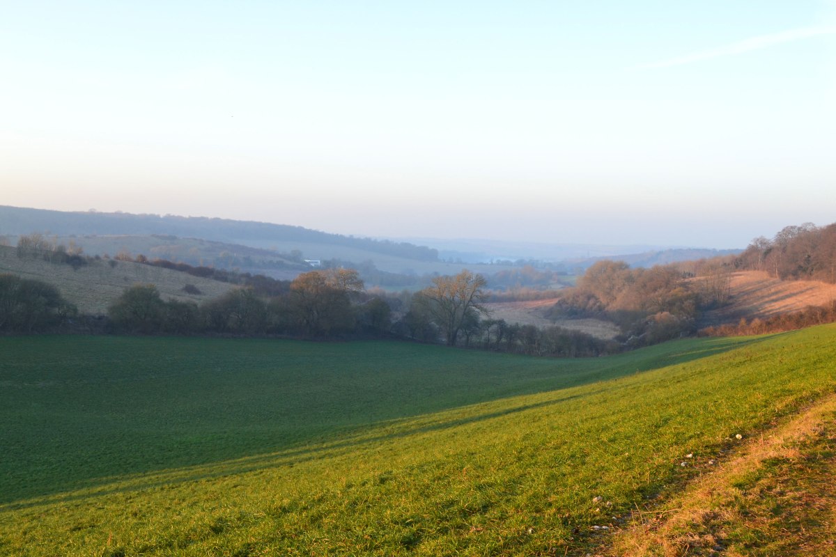 Looking north from between point 5-6