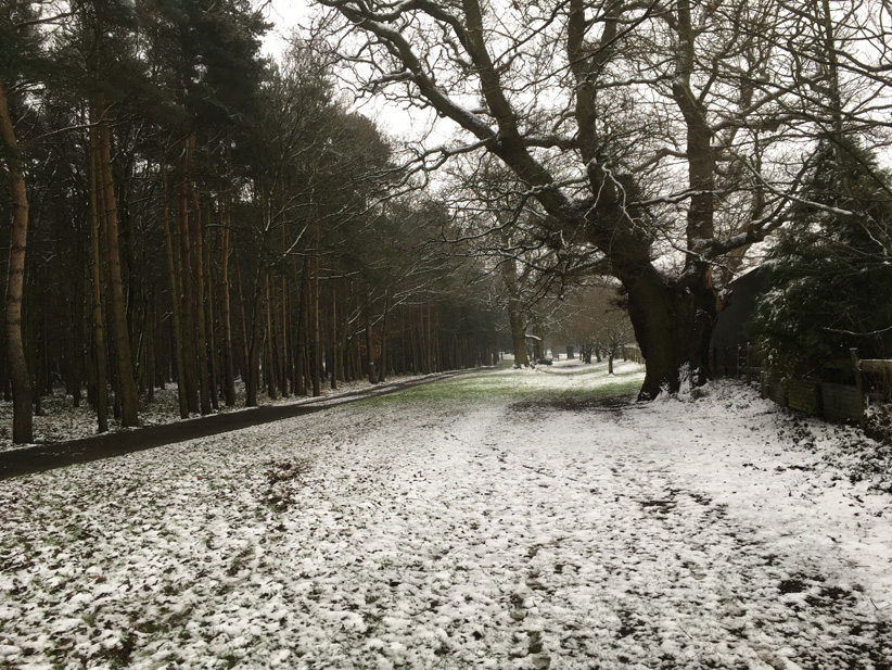 Snowy Downe, point 1