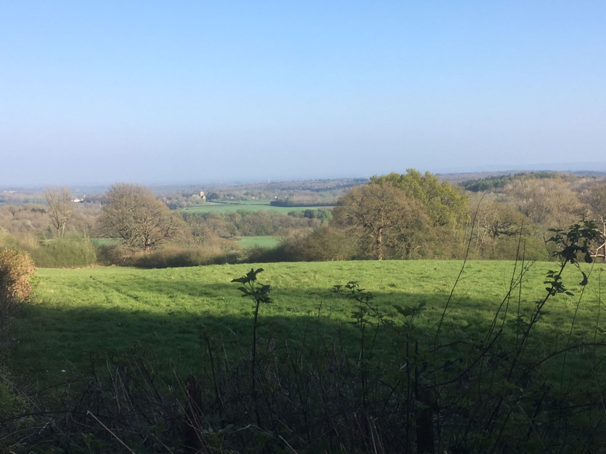 Looking towards Shipbourne from the greensand way near Ightam Mote (One Tree Hill walk)
