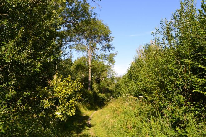 Hidden valley behind Wilmots Hill, Ightam Mote