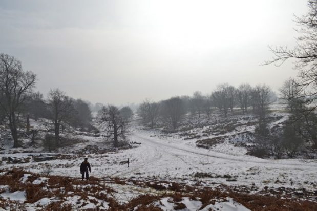 Christmas and New Year’s walk&nbsp;choices