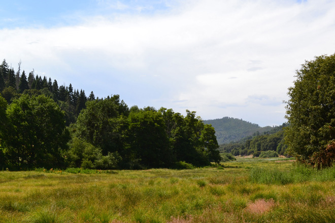 Mt Palomar state park