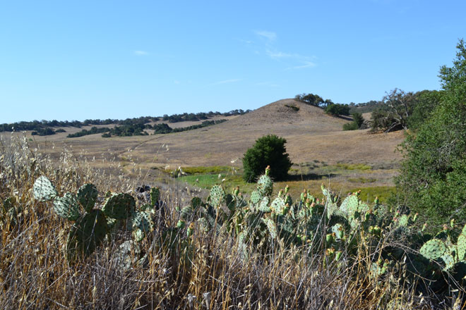 Santa Rosa plateau